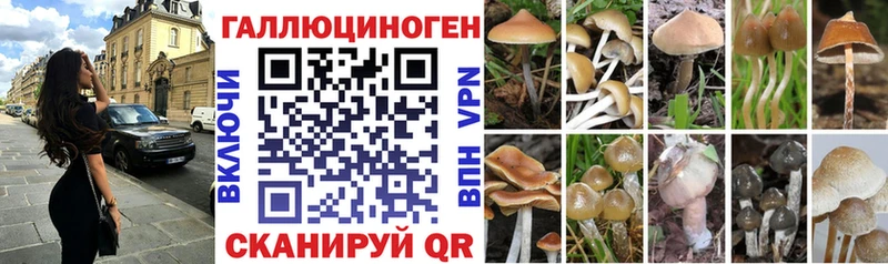 Псилоцибиновые грибы прущие грибы  Красновишерск 